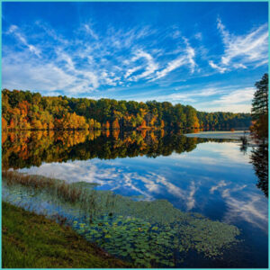 Outdoor Photography